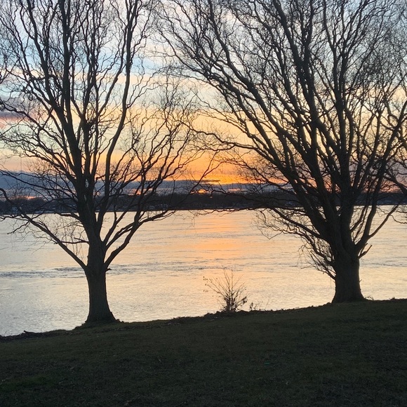 Meet your Posher, Alex - Picture 1 of 1